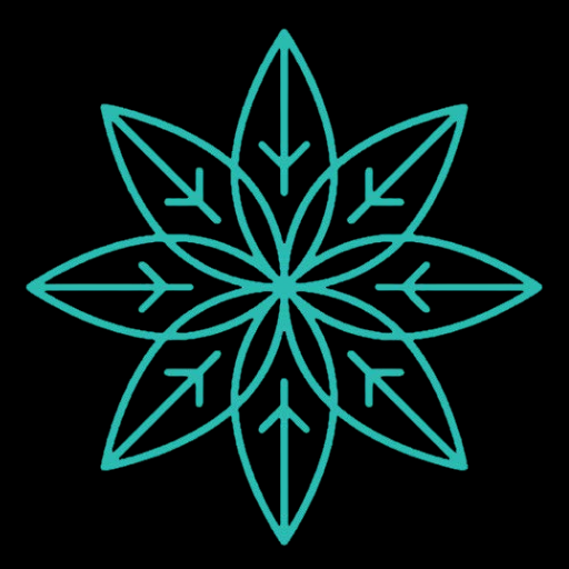 Port Douglas Transfers logo